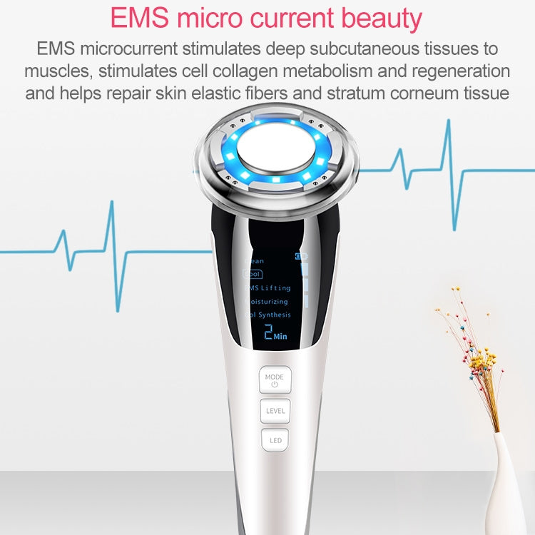 BLK-D818 Facial Beauty Instrument Hot and Cold Color Skin Rejuvenation Instrument EMS Micro Current Beauty Introduction Instrument