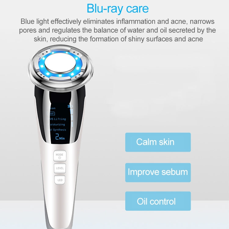 BLK-D818 Facial Beauty Instrument Hot and Cold Color Skin Rejuvenation Instrument EMS Micro Current Beauty Introduction Instrument Reluova