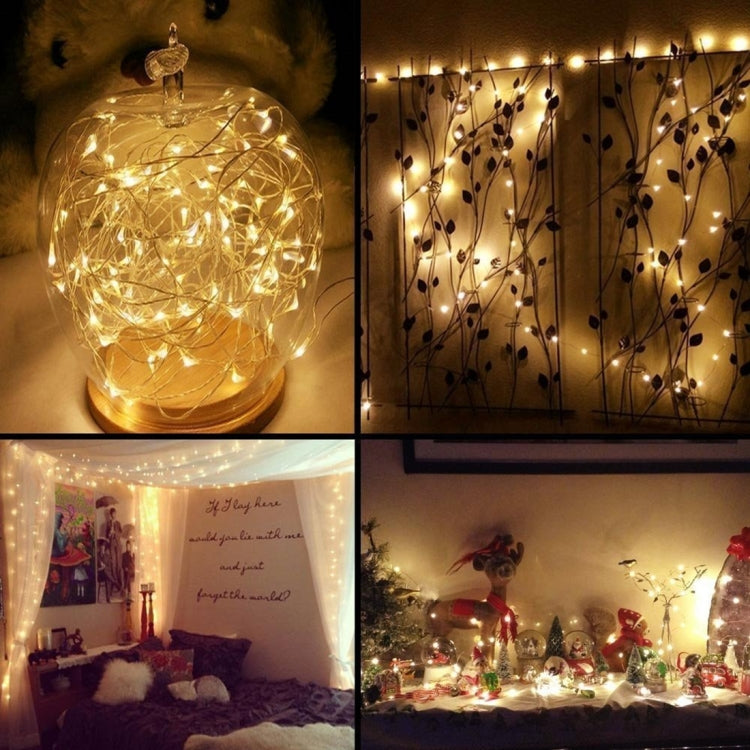 20 LEDs 2700-2900K Rope Fairy Light For Party / Holiday, Length: 2m, DC 6V