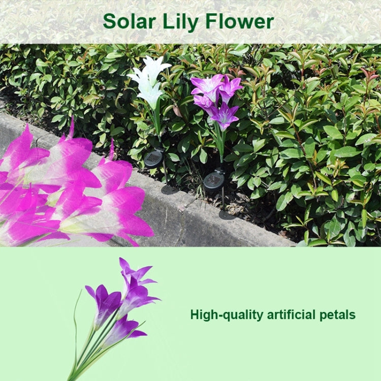 Simulated Lily Flower 4 Heads Solar Powered Outdoor IP55 Waterproof LED Decorative Lawn Lamp, White Light My Store