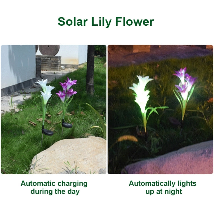 Simulated Lily Flower 4 Heads Solar Powered Outdoor IP55 Waterproof LED Decorative Lawn Lamp, White Light My Store