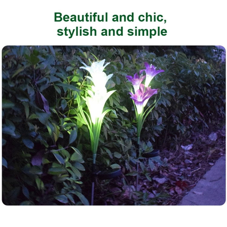 Simulated Lily Flower 4 Heads Solar Powered Outdoor IP55 Waterproof LED Decorative Lawn Lamp, White Light My Store