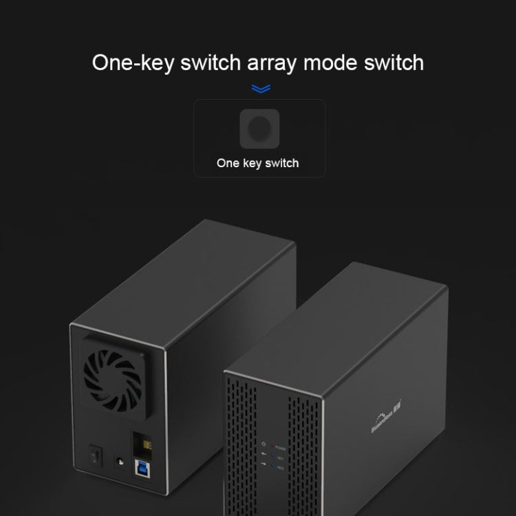 Blueendless Type-C / USB-C Interface 3.5 inch 2 Bay RAID Combination Array HDD External Enclosure