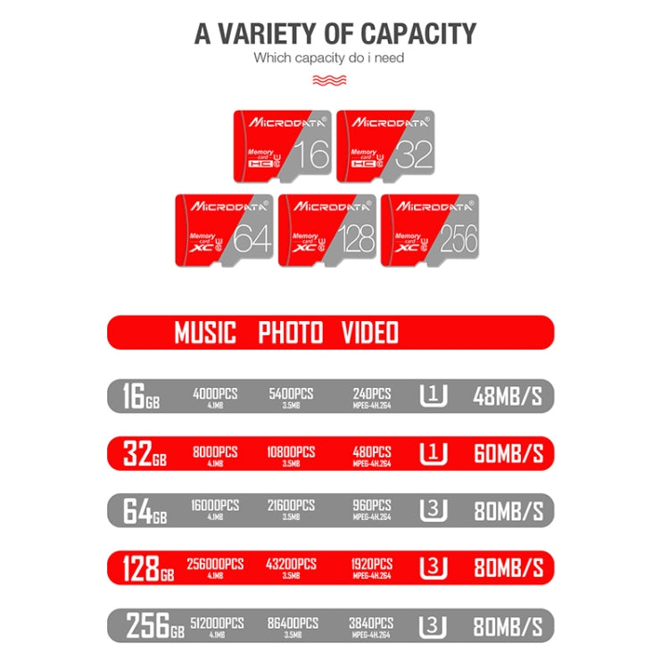 MICRODATA 256GB Class10 Red and Grey TF(Micro SD) Memory Card My Store