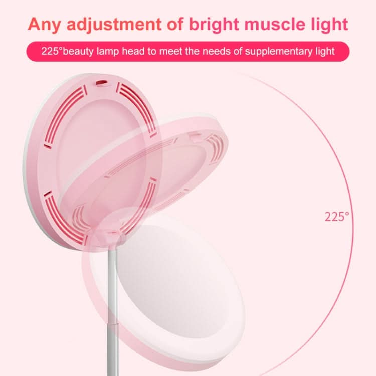 G6 Multi-function Live Broadcast All-in-one Ring Beauty Fill Light Mobile Phone Holder My Store