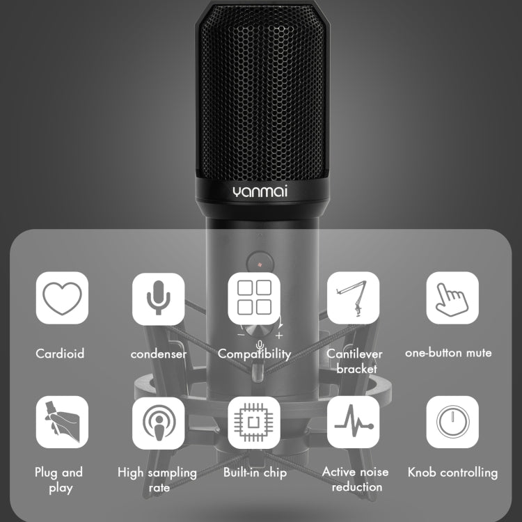 Yanmai Q10B USB Recording Microphone Kit