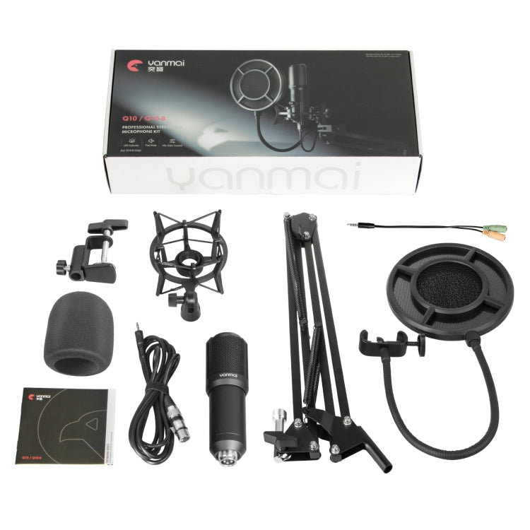 Yanmai Q10 3.5mm Recording Microphone Kit