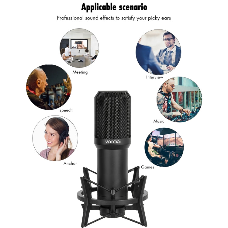 Yanmai Q10 3.5mm Recording Microphone Kit