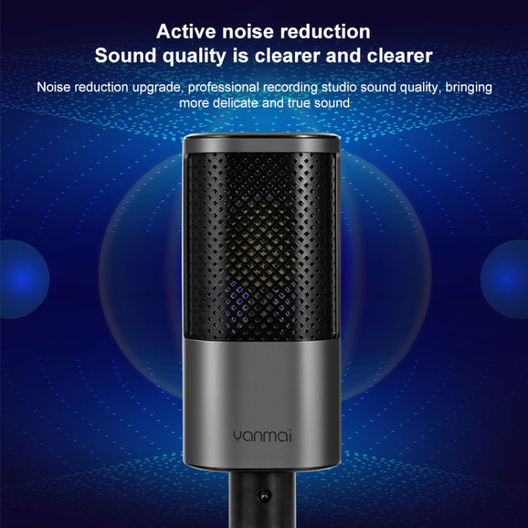 Yanmai X2 Active Noise Reduction Cardioid Pointing Capacitive Recording Microphone Set with Blowout Net & Cantilever Bracket & 1.7m 3.5mm Interface Cable My Store