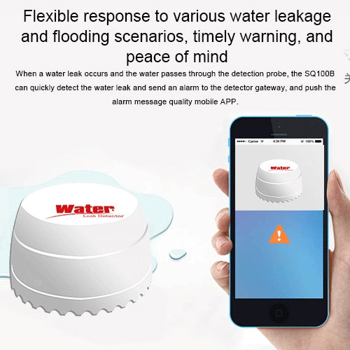 DY-SQ100B Water Leakage Detector with Two Sensors