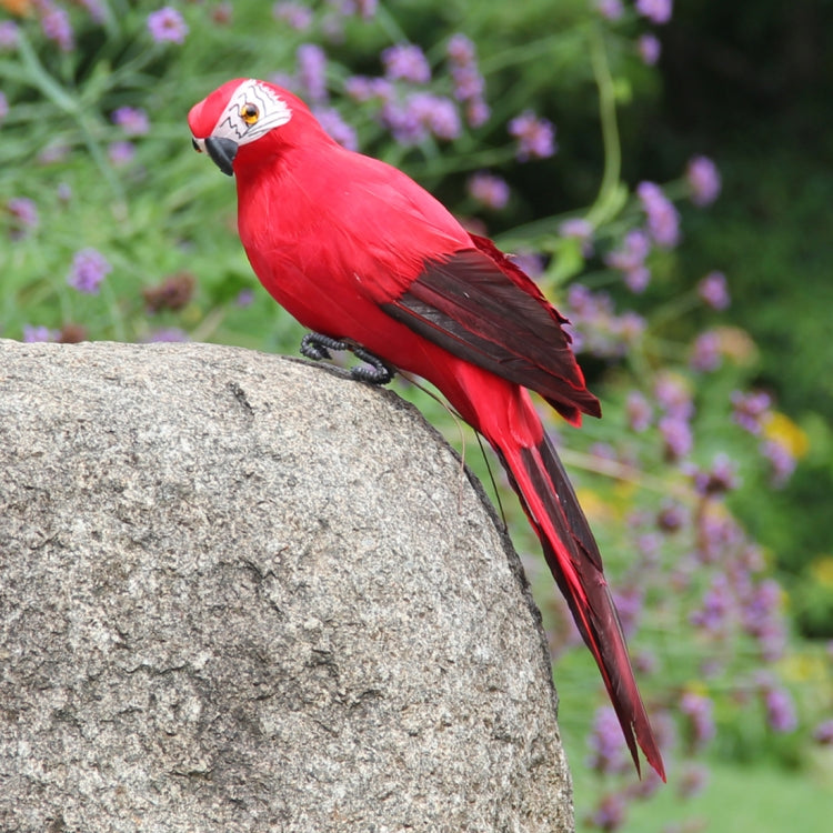 25cm Simulation Parrot Simulation Macaw Horticultural Decoration My Store