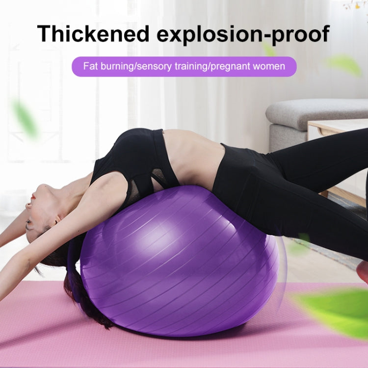 Thickening Explosion-proof Big Yoga Ball Sport Fitness Ball Environmental Pregnant Yoga Ball, Diameter: 55cm Reluova