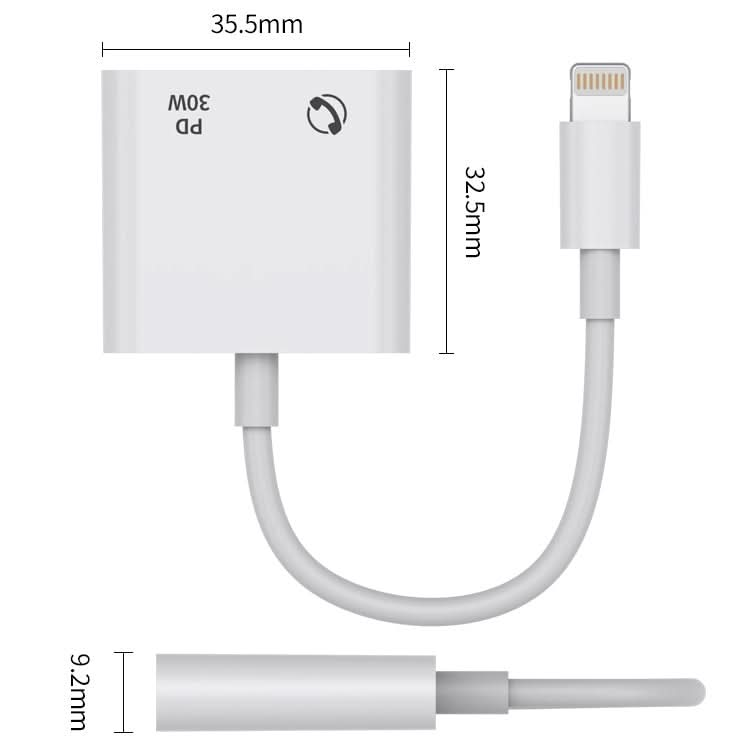 R-PCB-P1 30W 8 Pin to Type-C + 3.5mm Charging & Audio Converter