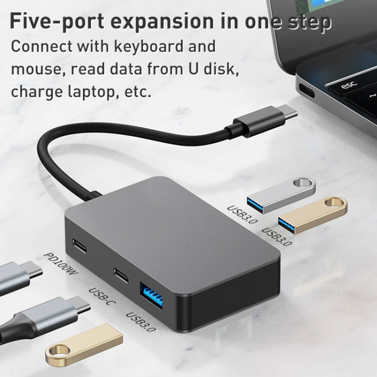 BYL-2316 5 in 1 USB-C / Type-C to USB3.0 & Type-C Multifunctional Docking Station HUB Adapter