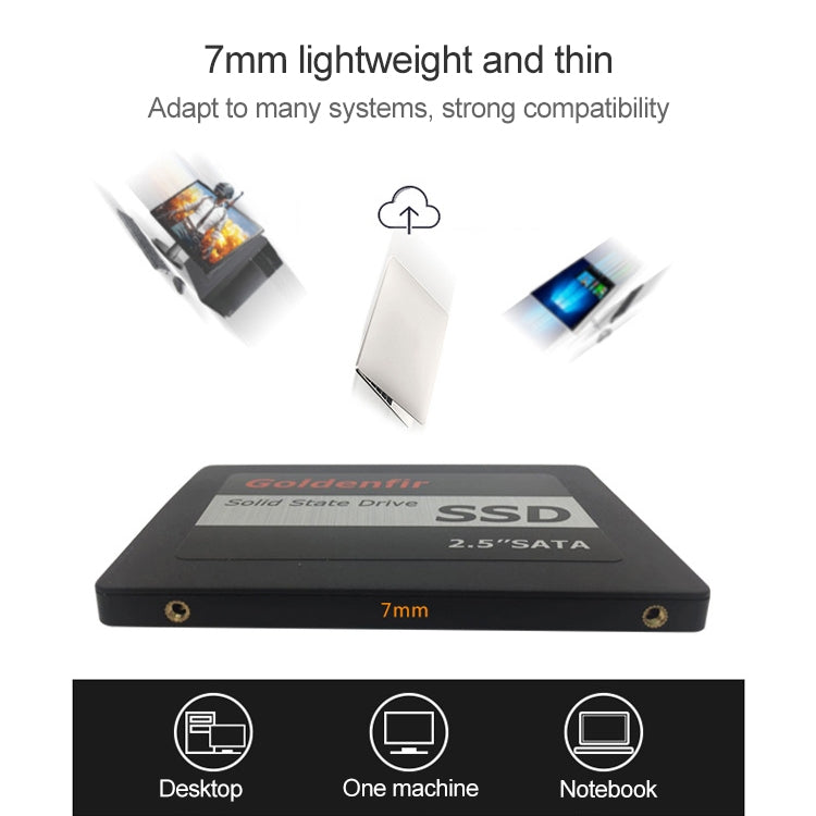 Goldenfir 2.5 inch SATA Solid State Drive, Flash Architecture: MLC, Capacity: 120GB