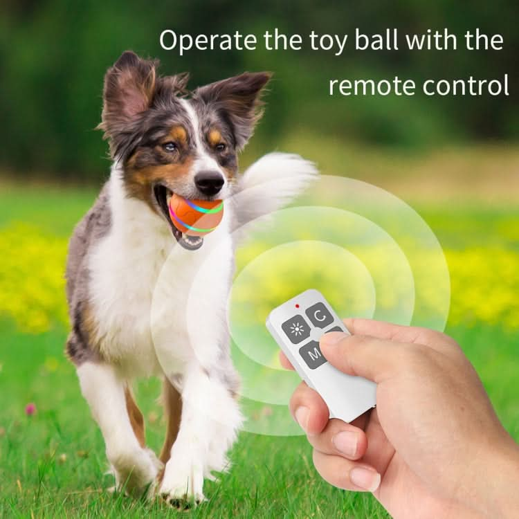 O1 Intelligent Remote Control Pet Toy Dog Training Luminous Ball - Reluova