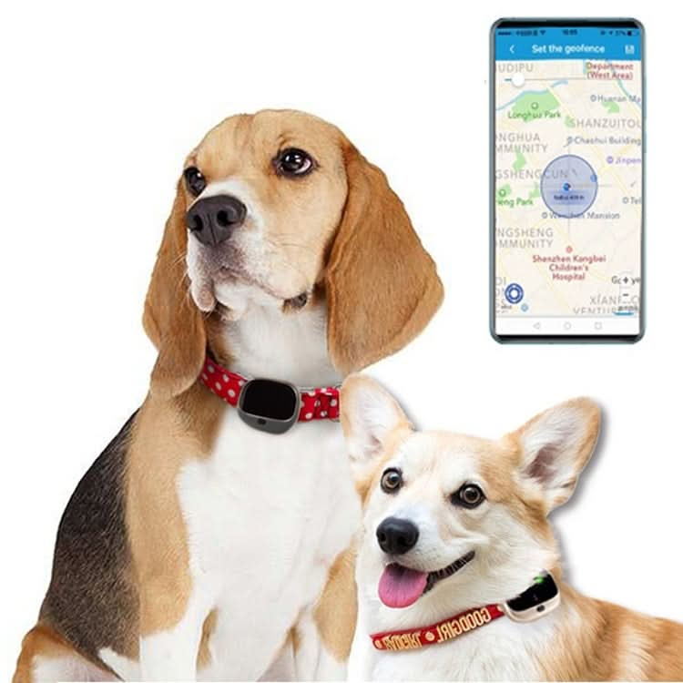 RF-V43 B Style IP67 Waterproof GPS + LBS + WiFi Pet Locator Pet Collar Tracking Device For North America/South America.