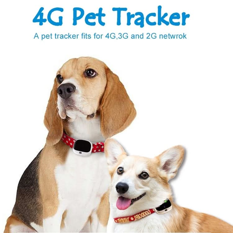 RF-V43 B Style IP67 Waterproof GPS + LBS + WiFi Pet Locator Pet Collar Tracking Device For North America/South America.