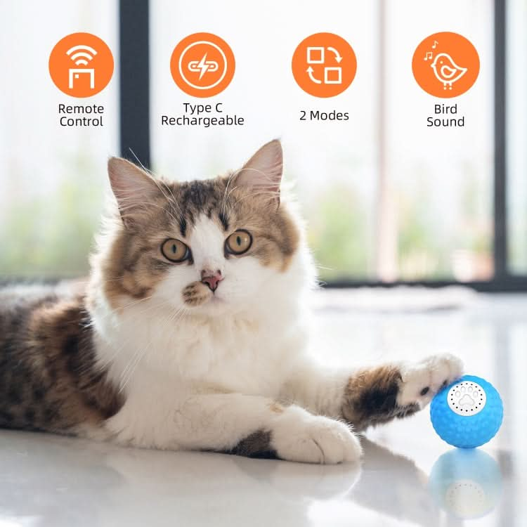 C1 Intelligent Remote Control Pet Toy Cat Training Luminous Ball - Reluova