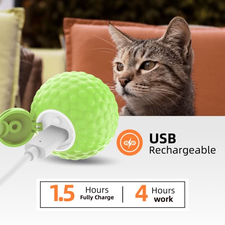 C1 Intelligent Remote Control Pet Toy Cat Training Luminous Ball - Reluova