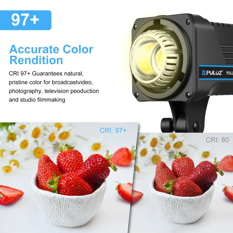 PULUZ 220V 150W Studio Video Light  3200K-5600K Dual Color Temperature Built-in Dissipate Heat System with Remote Control