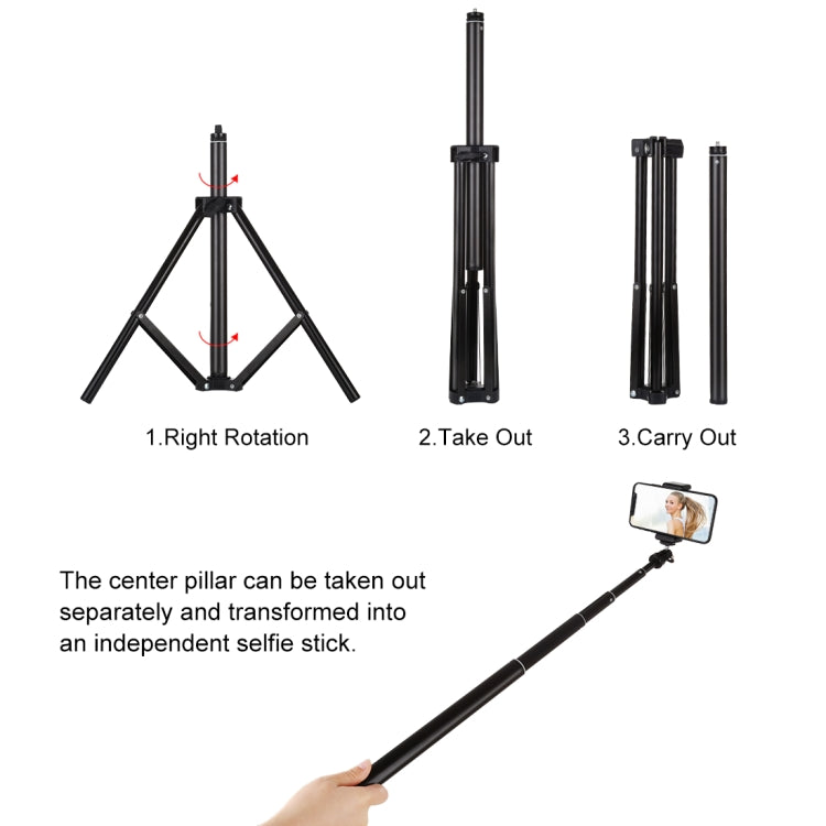 PULUZ 1.65m Height Tripod Mount Holder for Vlogging Video Light  Live Broadcast Kits