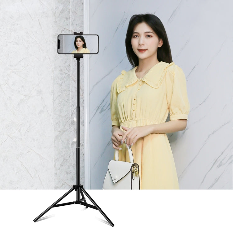 PULUZ 1.65m Height Tripod Mount Holder for Vlogging Video Light  Live Broadcast Kits