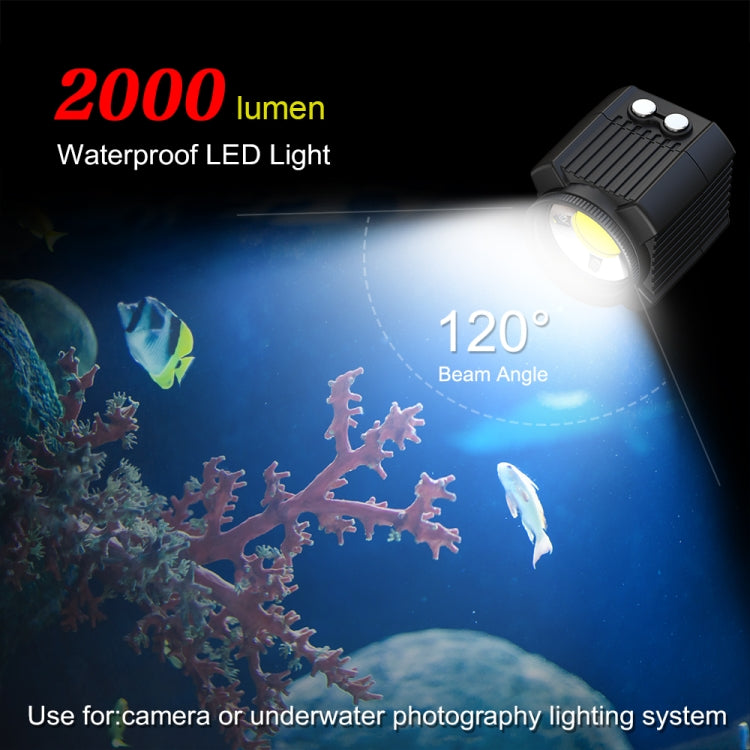 PULUZ 60m Underwater LED Photography Fill Light 7.4V/1100mAh Diving Light for GoPro Hero12 Black / Hero11 /10 /9 /8 /7 /6 /5, Insta360 Ace / Ace Pro, DJI Osmo Action 4 and Other Action Cameras