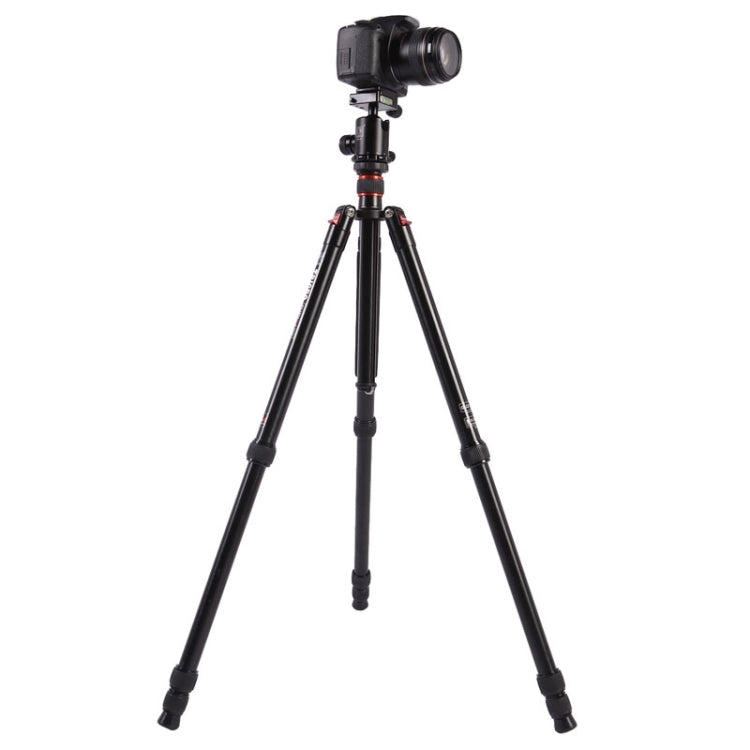 Triopo MT-2804C Adjustable Portable Aluminum Tripod with NB-2S Ball Head for Canon Nikon Sony DSLR Camera