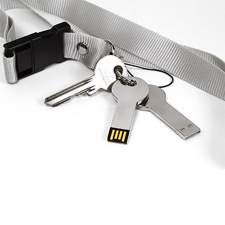 Metal Series Mini USB 2.0 Flash Disk with Keychain (2GB)