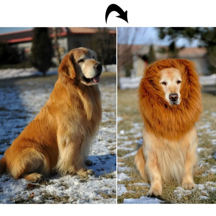 Large Pet Dog Cat Lion Wigs Mane Hair Festival Party Fancy Dress Clothes Costume - Reluova