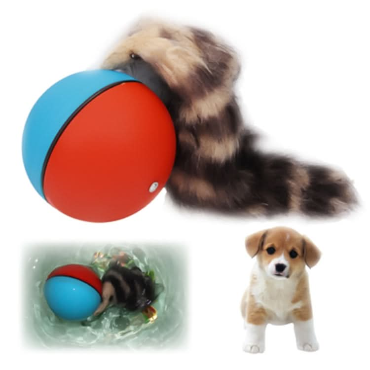 Motorized Rolling Chaser Ball Toy for Dog / Cat / Pet / Kid, Random Color Delivery - Reluova