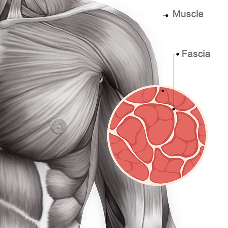 6 Gears Mini Fascia Gun Massage Gun Electric Fitness Massager, Specification: Key File, Without Bag-Reluova