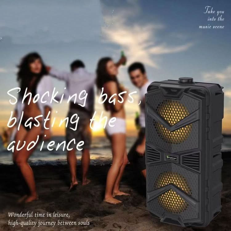 NewRixing NRG5501B Outdoor Portable Karaoke Wireless Speaker 16W Audio Amplifier