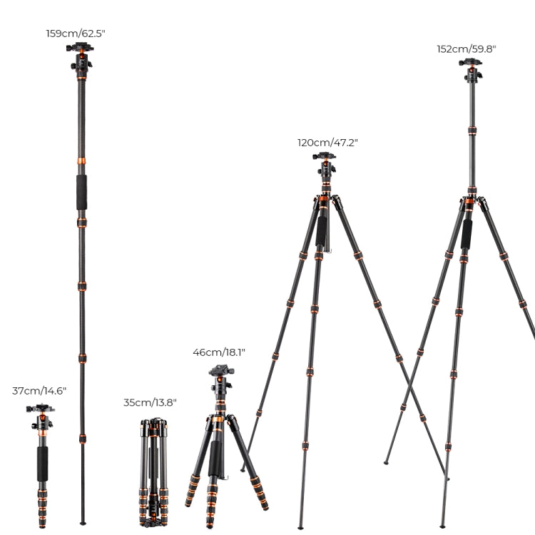 K&F CONCEPT KF09.077V3 Portable Carbon Fiber Camera Tripod