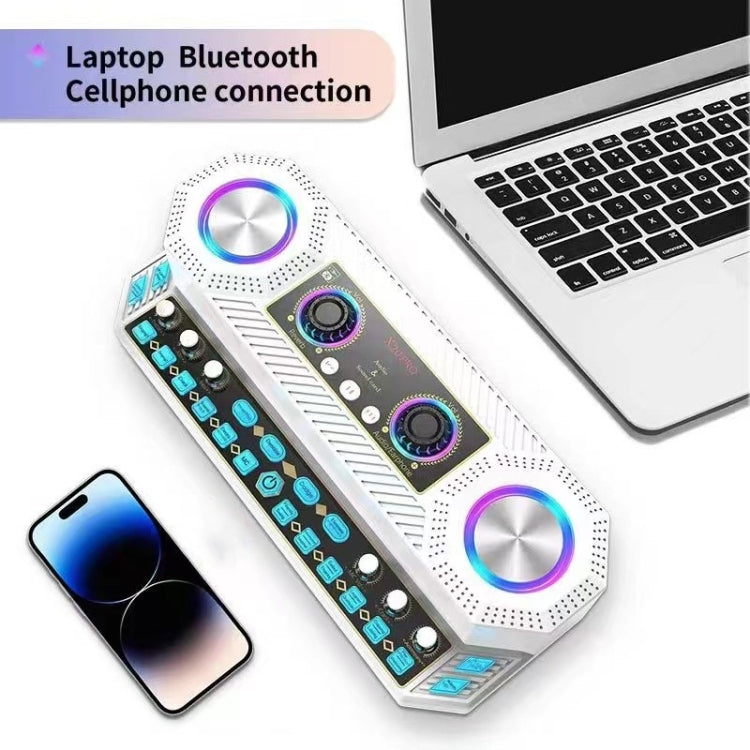 X20 Multifunction Singing Sound Card Audio Machine Square Dance Karaoke Wireless Bluetooth Speaker