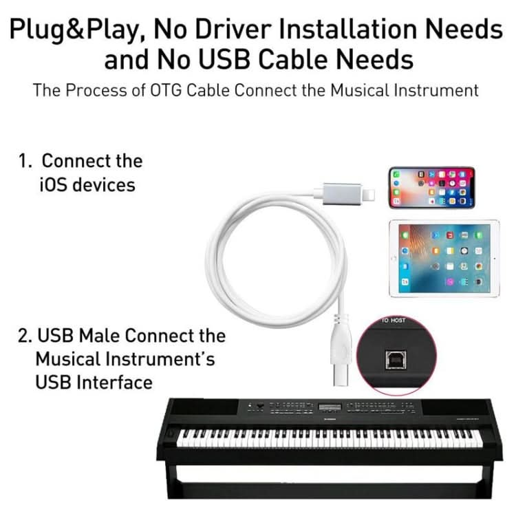 1m 8 Pin to USB-B MIDI Cable for iPad / iPhone