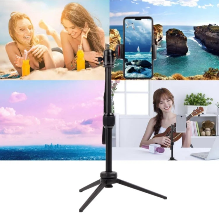 JMARY MT68 Aluminum Alloy Telescopic Portable Selfie Mini SLR Camera Phone Tripod My Store