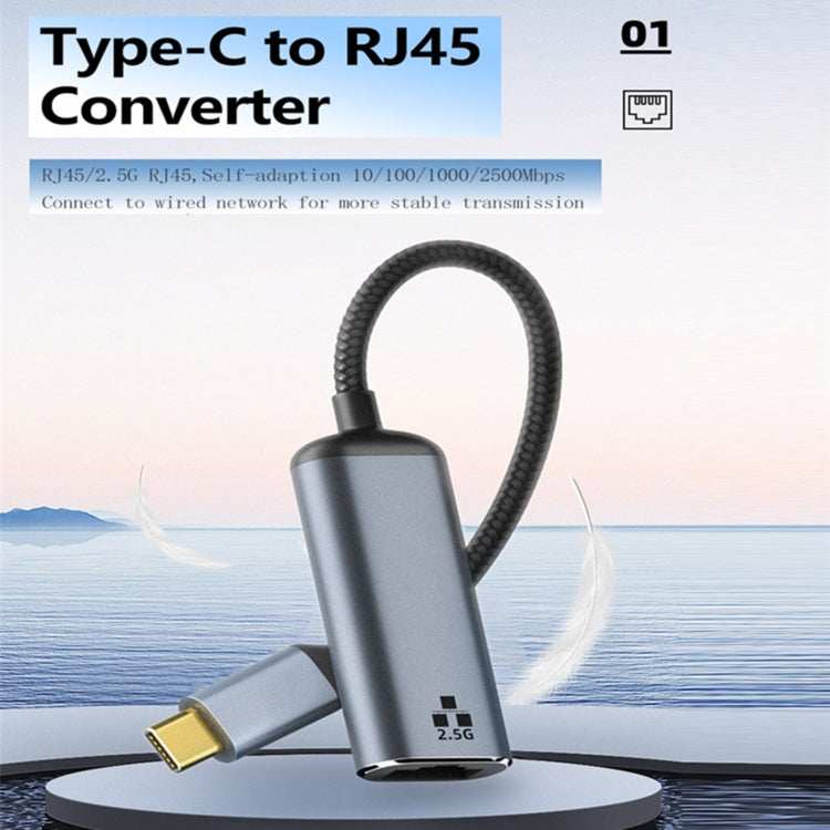 Type-C to RJ45 2500Mbps Ethernet Adapter