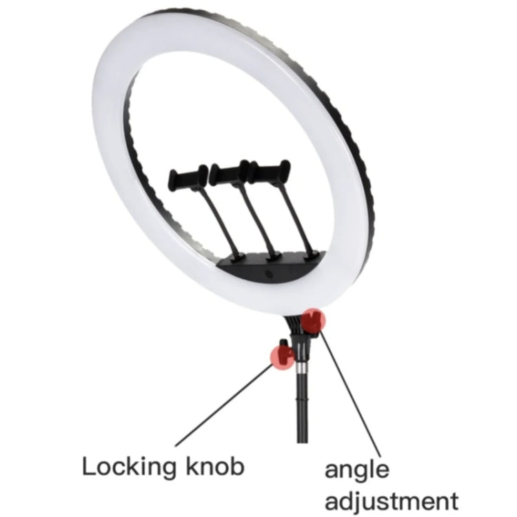 JMARY FM-21R With Remote Control Phone Clip 21-inch Dimmable LED Ring Light