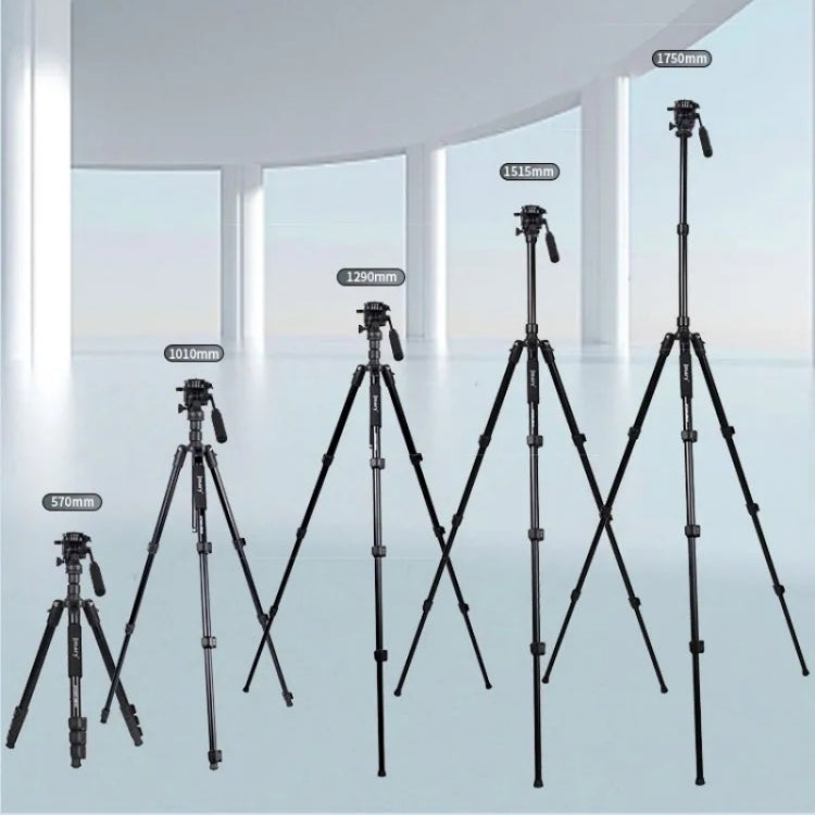 JMARY KT285+NB50 Camera Stand Extendable Height Aluminum Alloy Camera Holder Tripod My Store