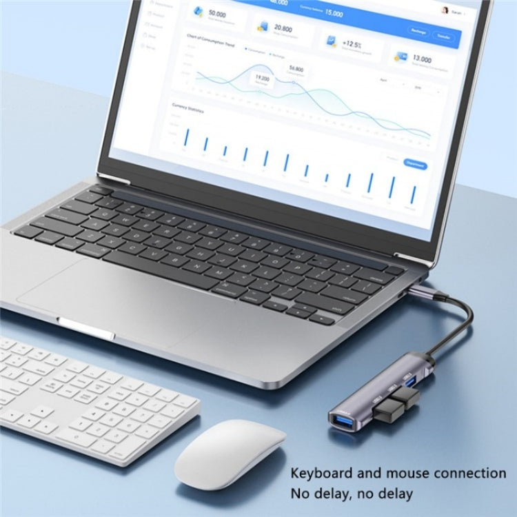 T-503 Portable 4-in-1 Type-C Docking Station USB-C to USB2.0 x 3 + USB3.0 HUB Adapter My Store