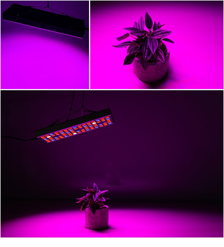 25W 75LEDs Full Spectrum Plant Lighting Fitolampy For Plants Flowers Seedling Cultivation Growing Lamps LED Grow Light  AC85-265V My Store