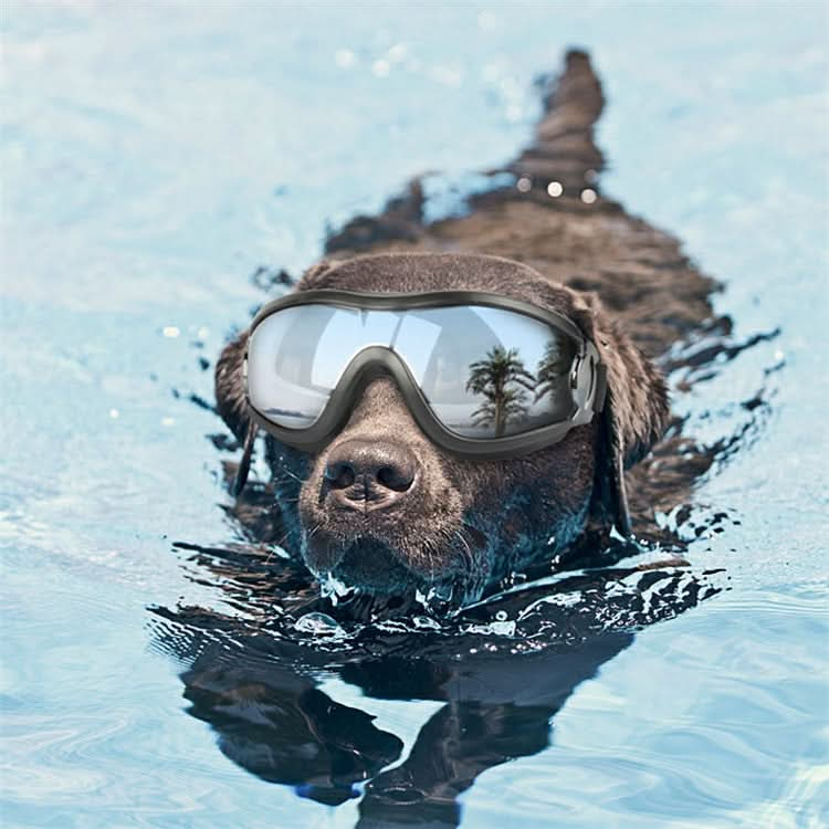 Pet Glasses Big Dog Goggles Waterproof Windproof Sunscreen UV Protection - Reluova