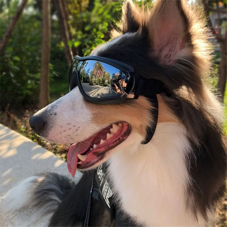 Pet Glasses Big Dog Goggles Waterproof Windproof Sunscreen UV Protection - Reluova