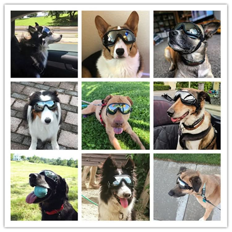 Pet Glasses Big Dog Goggles Waterproof Windproof Sunscreen UV Protection - Reluova