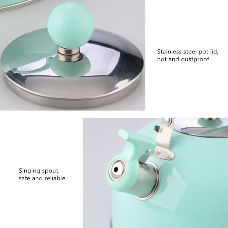 Non Magnetic Thick Stainless Steel Whistle Kettle Dome Whistle Kettle Reluova