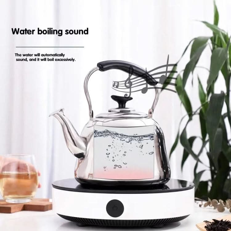 Stainless Steel Whistle Kettle for Induction Cooker Home Classical Piano Sound Singing Pot without Magnetic Heat Reluova