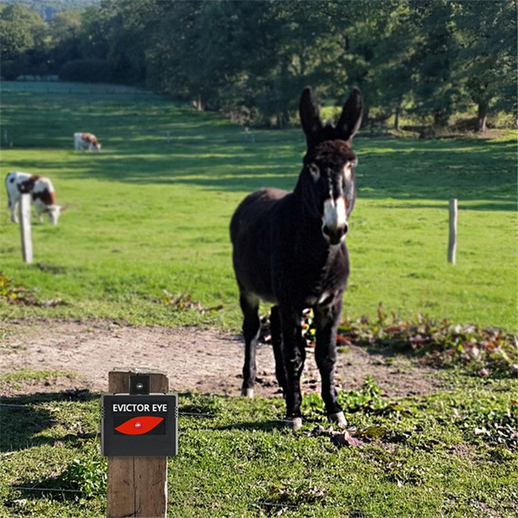 2 Pcs/Pack Solar Repeller Ranch Farm Wild Hawkeye Animal Repeller-Reluova