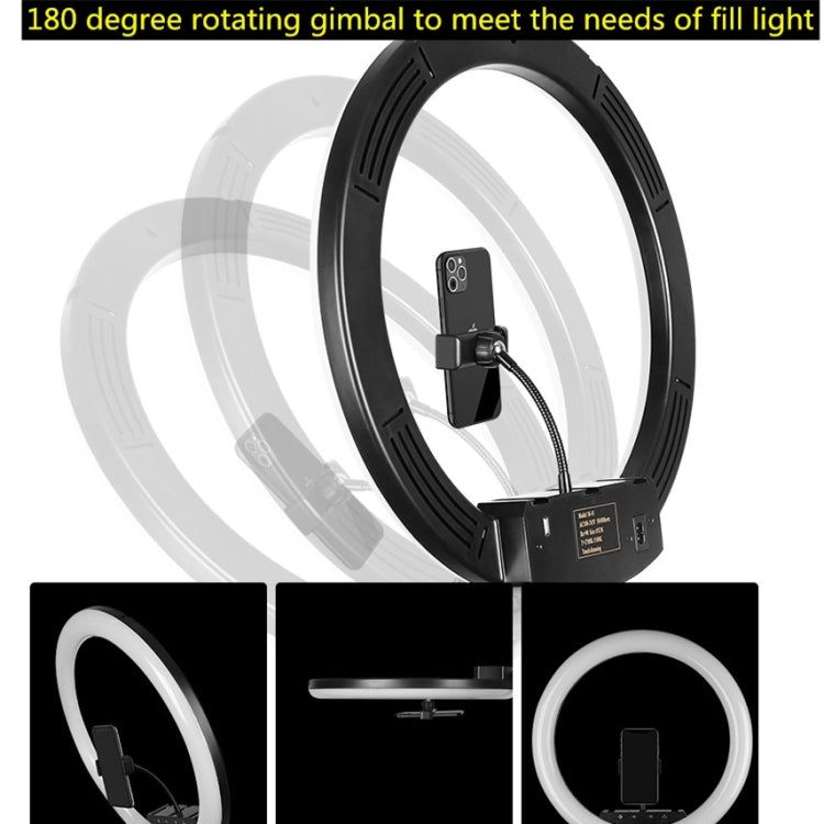 Dimmable Color Temperature LED Ring Fill Light Live Broadcast Set